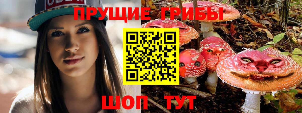 Нефтеюганск  Галлюциногенные грибы GOLDEN TEACHER  как найти   Вход с VPN 