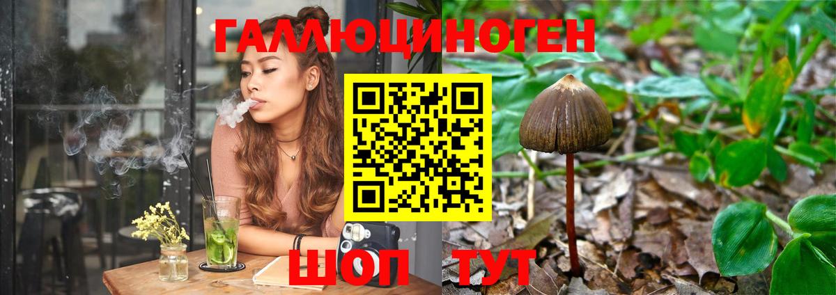 Галлюциногенные грибы Psilocybe Нефтеюганск